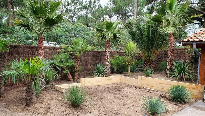Palm'Arès : L’art du paysagisme haut de gamme pour des jardins exceptionnels à Andernos et Cap Ferret