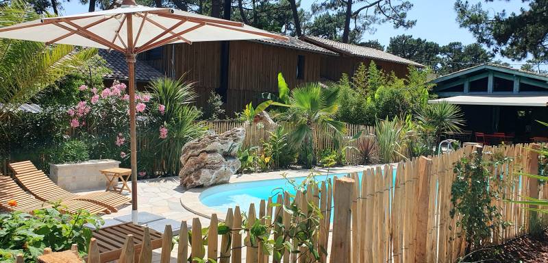 Réalisation d’un coin détente ombragé avec fougères arborescentes et végétaux graphiques au Cap Ferret