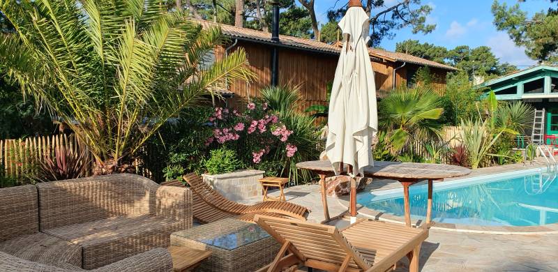 Installation de palmiers et cordylines pour apporter une ambiance exotique au jardin au Cap Ferret